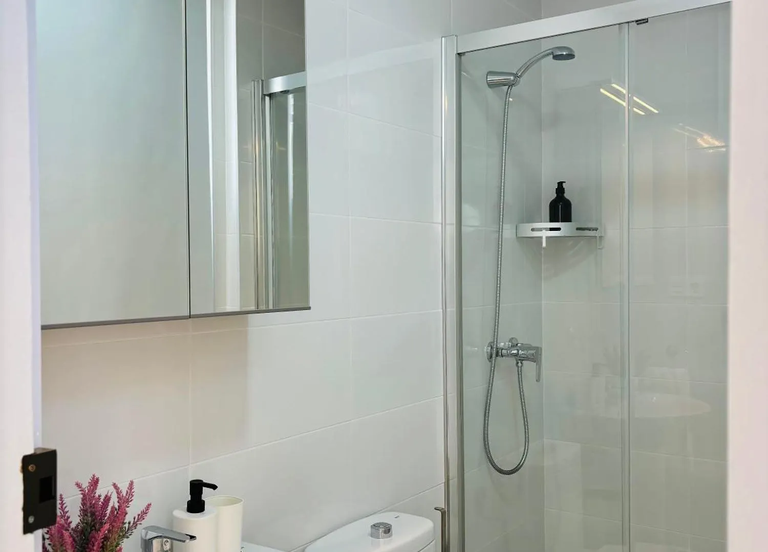 Apartamentos Alcazaba Malaga Spain